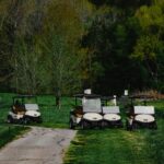 trojan golf cart batteries