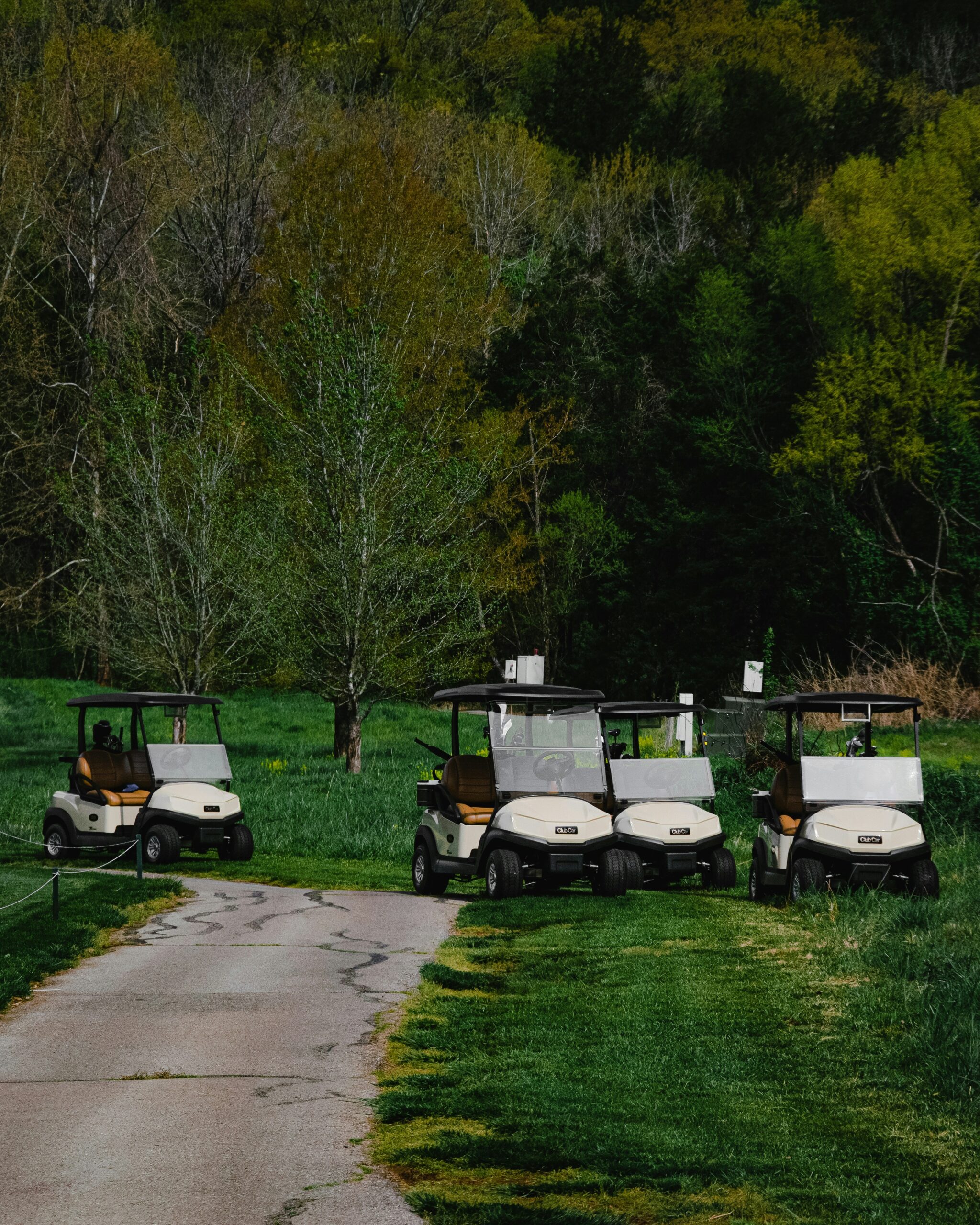 trojan golf cart batteries