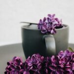 african violet pots