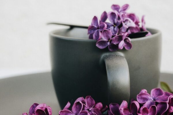 african violet pots