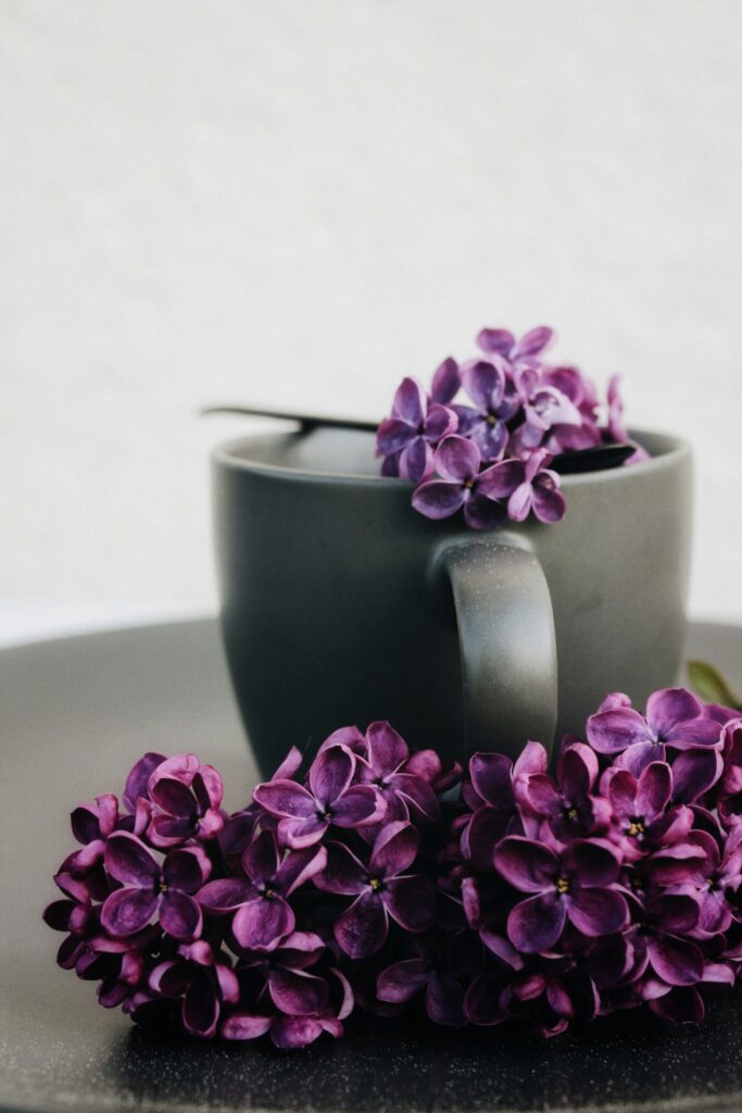 african violet pots