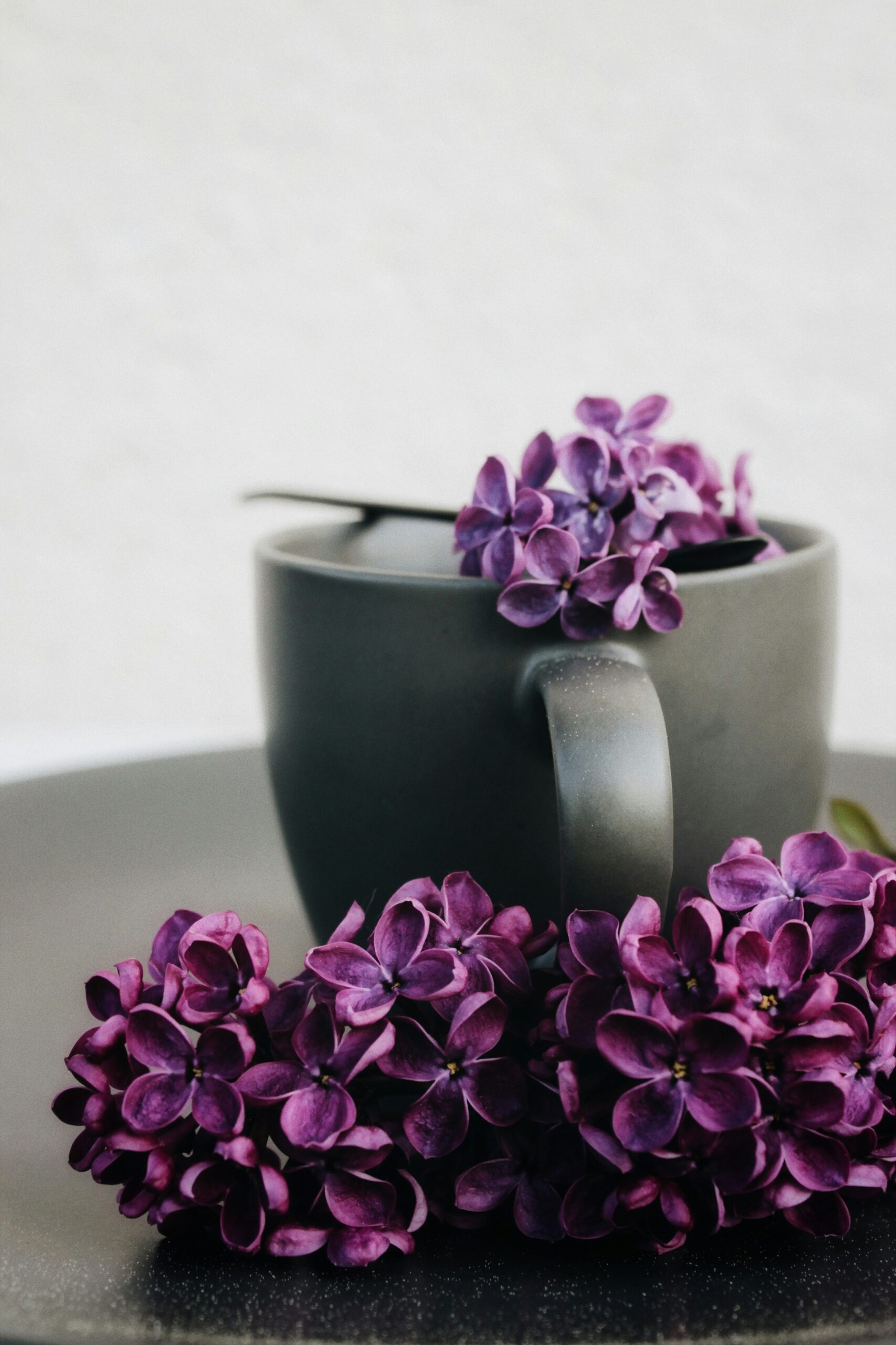 african violet pots