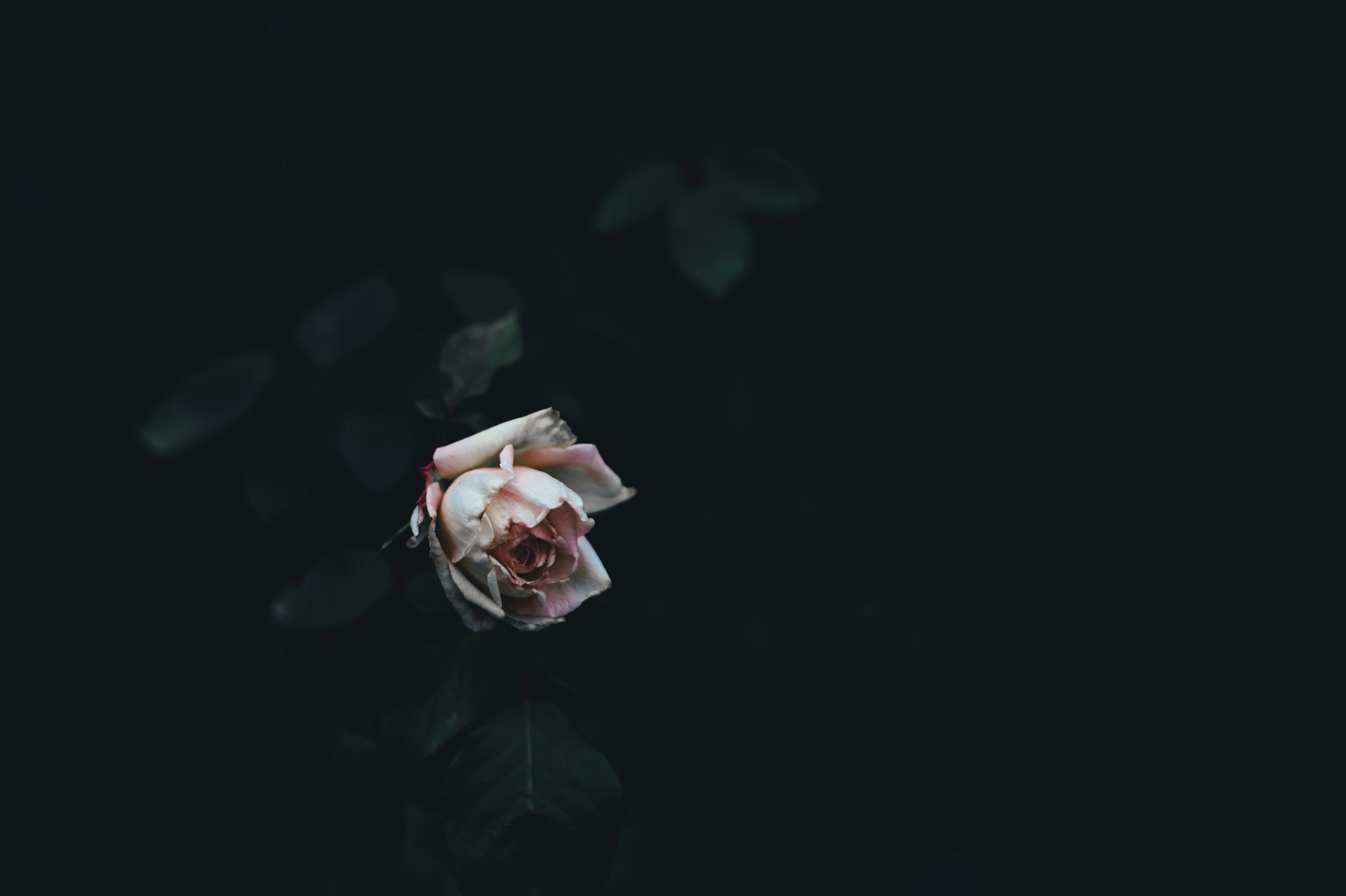 woonsocket call obituaries​
