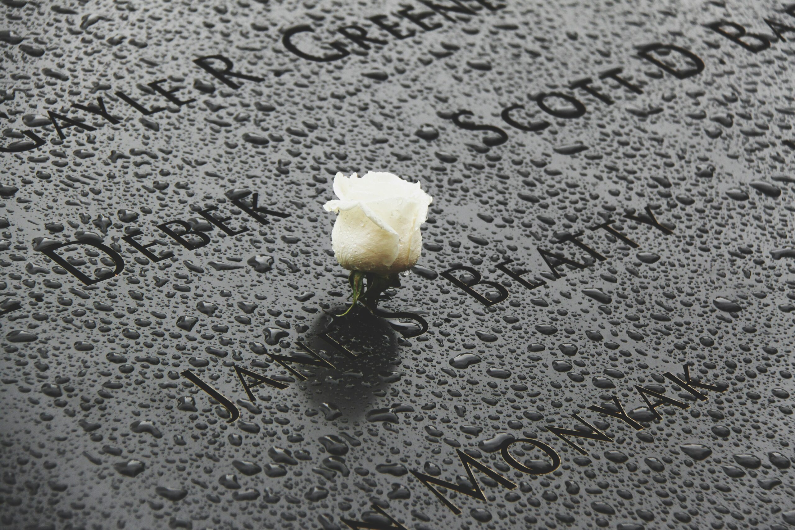 olean times herald obituaries